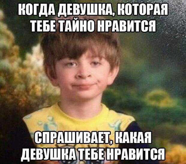 Смешные картинки с подписями картинки, прикол, юмор