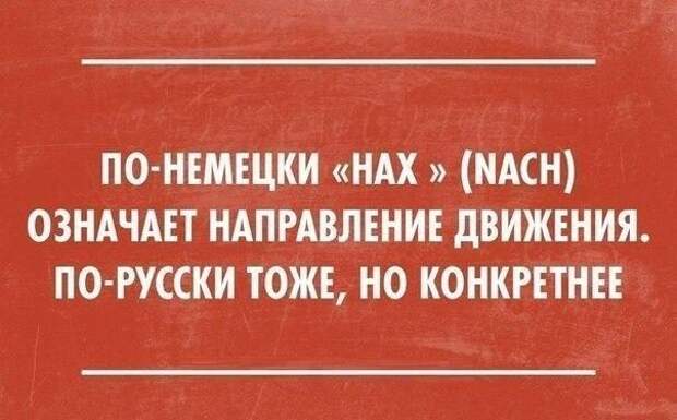 Классная порция цитат