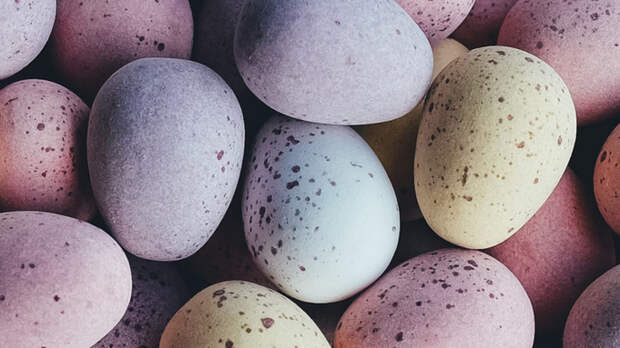 Специалист рассказала, сколько хранятся куличи, пасха и крашеные яйца