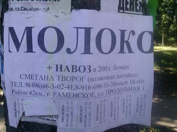 Нелепые вывески и надписи Нелепые вывески и надписи
