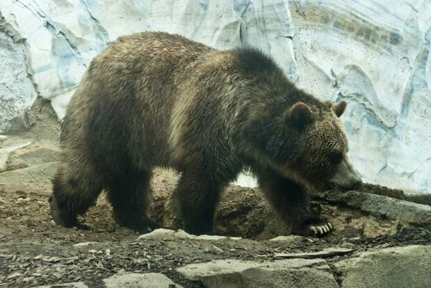 In article 41a25cbc43