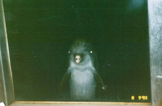 Подборка прикольных картинок (45 фото)