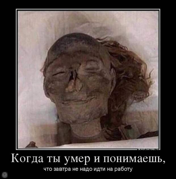 Отдохнул - отдохни ещё! 3