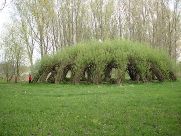 4979645_article_imageimagearticle_1 (700x525, 70Kb)