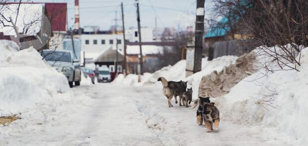 Небольшой дождь ожидается в Удмуртии 22 марта