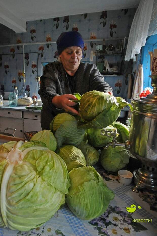Фоторепортаж о том, как квасят капусту в уральском селе бабушка, заготовка, квашенная капуста, люди, приготовление, село