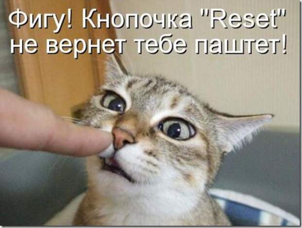 85b05b19d67829294654be1c7e2_prev