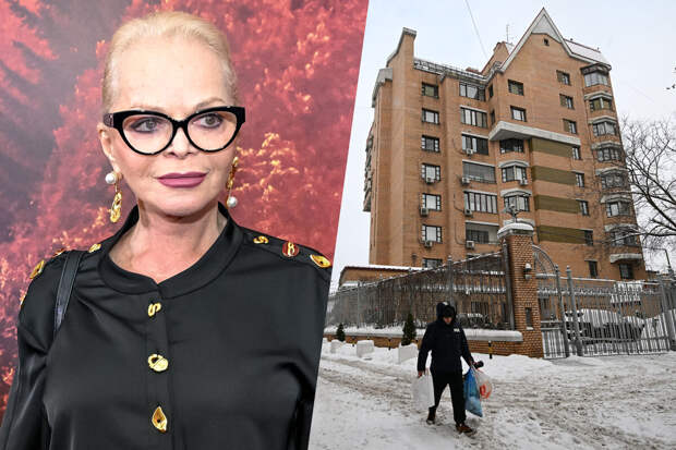 Эксперт Орехов посоветовал Лурье начать ремонт в квартире Долиной с туалета