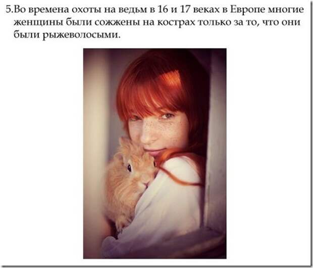 clip_image005