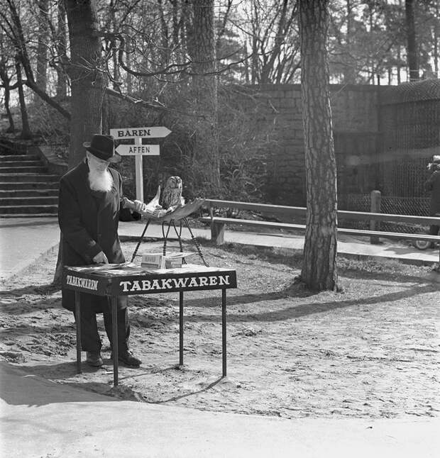 Спасенные фотографии Штирлица Штирлиц, фотографии