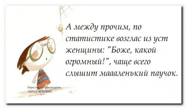 Прикольные фразочки в картинках №2114