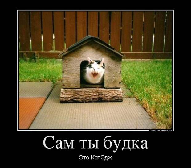 Демотиваторы демотиваторы