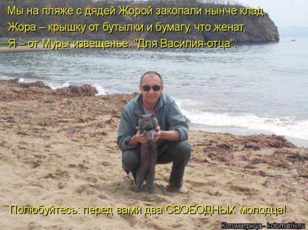 Еженедельная котоматрица (33 фото)