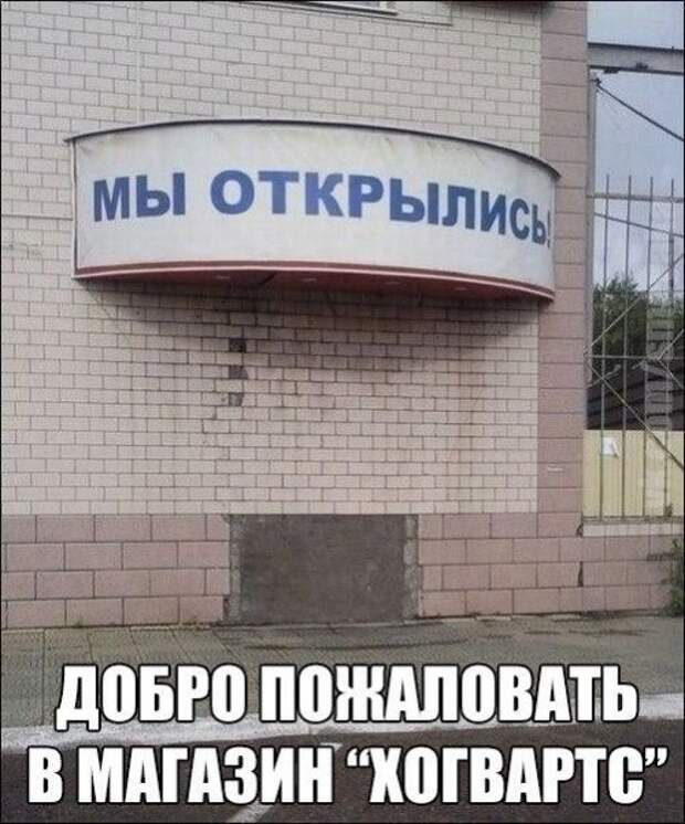 Прикольные картинки в подборке (41 шт)