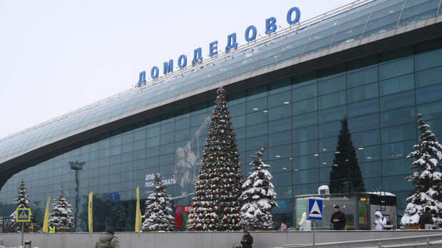 Аукцион по продаже аэропорта Домодедово не состоялся