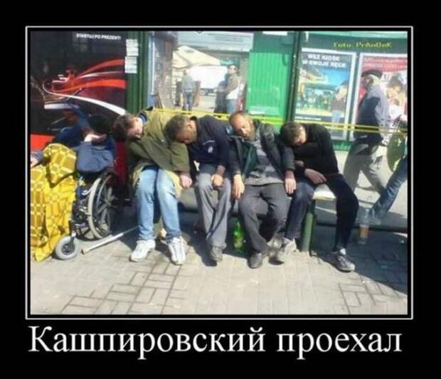 Демотиваторы (30 фото)
