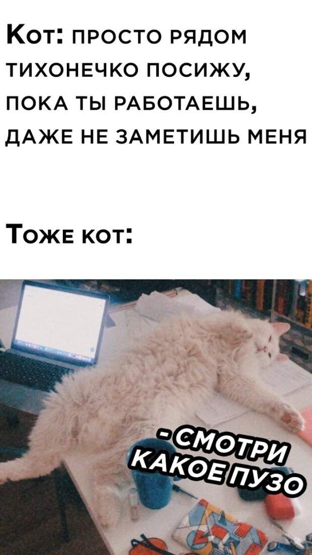 Намешалось