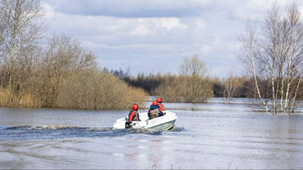 «Россети» работают в усиленном режиме в регионах с высокими рисками паводков