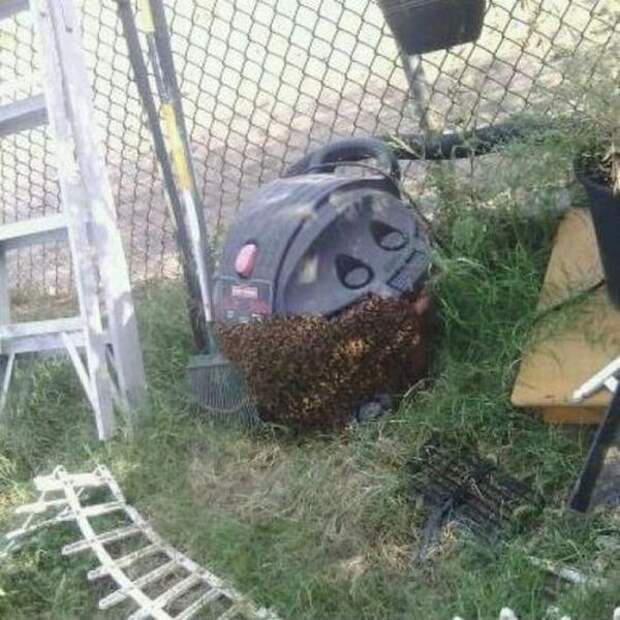 НЕПРИЯТНЫЕ СИТУАЦИИ СЛУЧАЮТСЯ С КАЖДЫМ