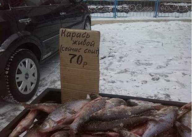 Прикольные надписи, объявления