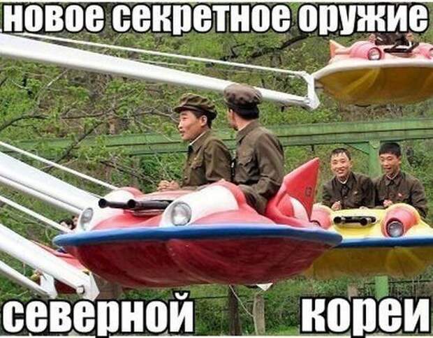 Прикольные и смешные фото девушки, животные, коты, прикол, юмор
