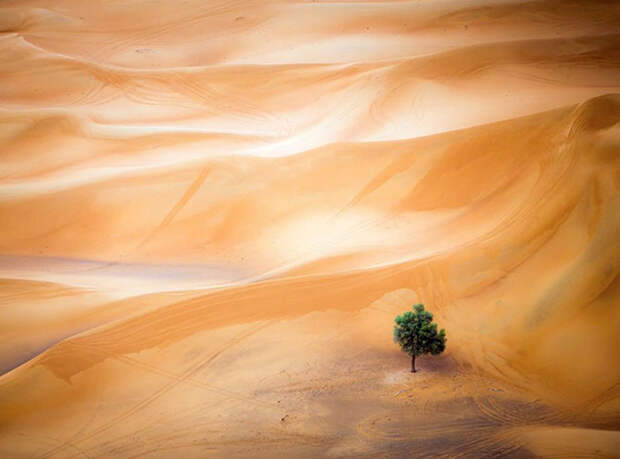 Лучшие фотографии сентября 2015 от National Geographic