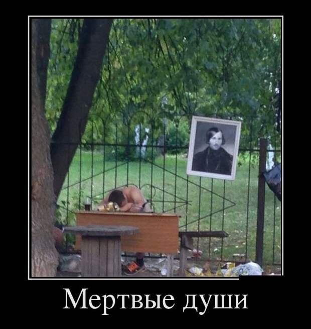 Демотиваторы (30 фото)