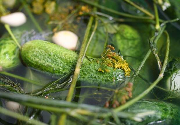 Новогодний стол: как изменились цены на продукты за год