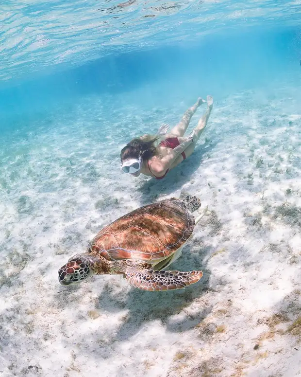 Андре Масгроув (André Musgrove) и его невероятные подводные снимки