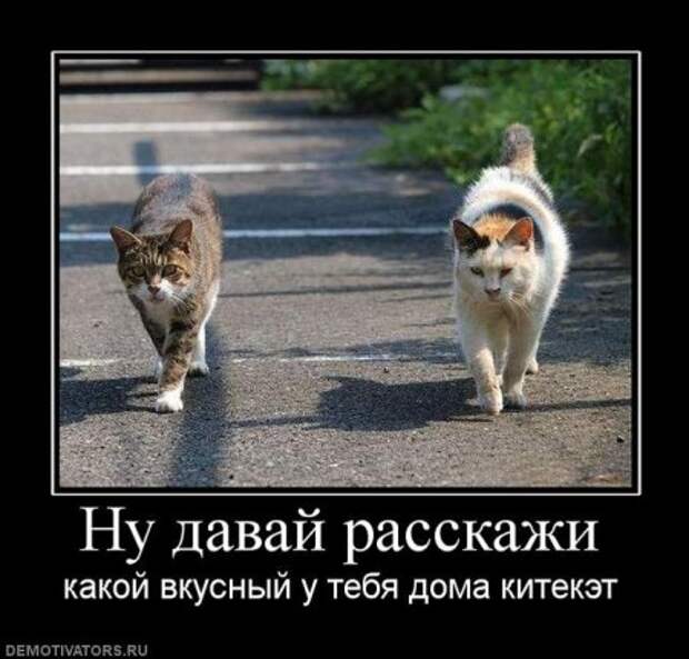 Демотиваторы смешно и прикольно!