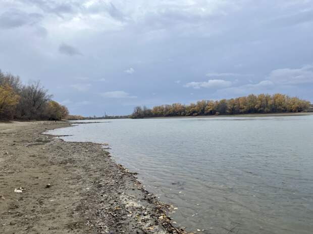 Глава СК Бастрыкин повторно дал указание возбудить дело о загрязнении реки Кубань