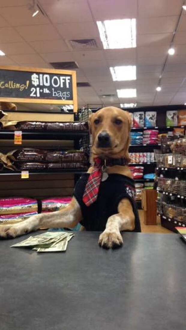 Прикольные картинки. Вечерний выпуск (54 фото)