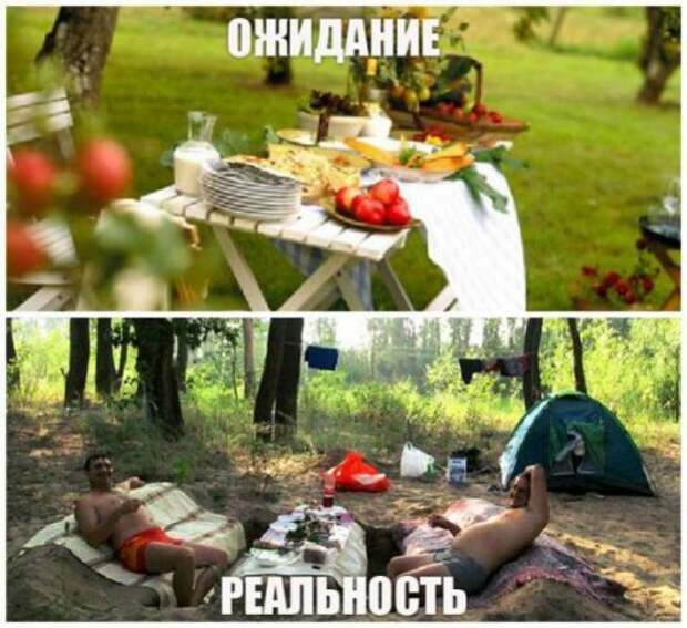 Поездка на шашлыки: ожидания vs. реальность (12 фото) Поездка на шашлыки: ожидания vs. реальность (12 фото)