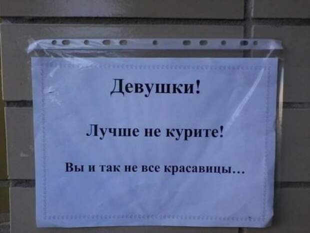 Смешные вывески, объявления и реклама (20 фото)