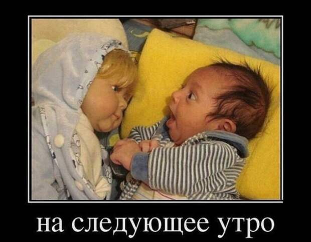 Не относитесь слишком серьёзно к жизни. Живыми вам из неё всё равно не выбраться (анекдоты) Не относитесь слишком серьёзно к жизни. Живыми вам из неё всё равно не выбраться (анекдоты)