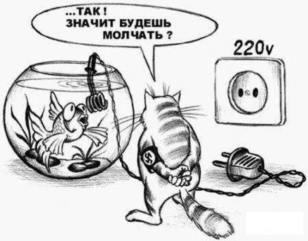 фото прикол