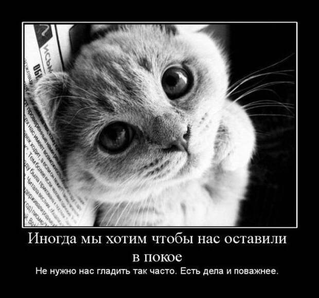 Демотиваторы дня от 26-01-2015