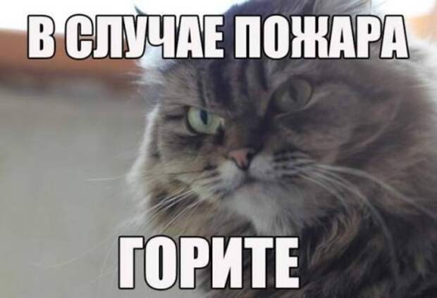 Снова прикольные картинки (50 шт)