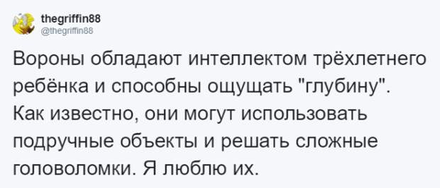 Lужчина четыре года кормил воронью семью и те принесли ему таинственный дар