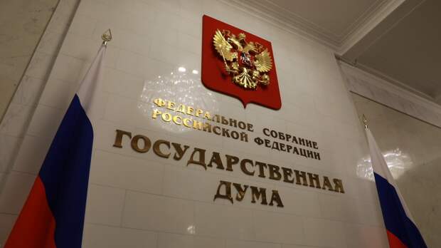 В Госдуму внесли проект о повышении пошлины за прием в гражданство