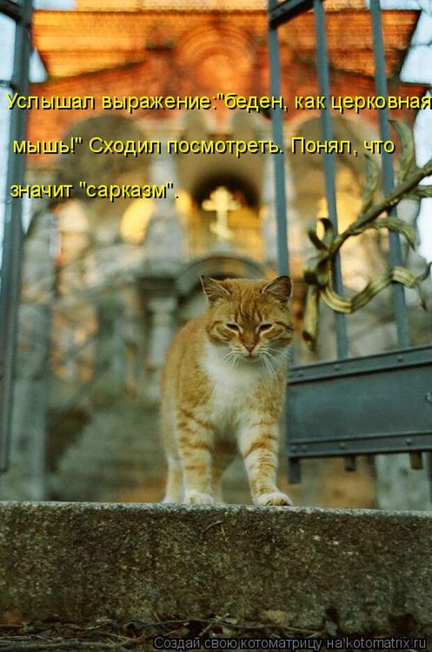 Котоматрица: Услышал выражение:"беден, как церковная мышь!" мышь!" Сходил посмотреть. Понял, что  значит "сарказм".