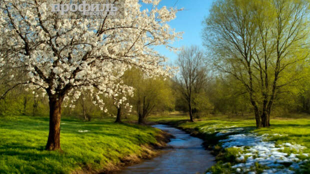 Народные приметы 1 марта: что можно и нельзя делать в этот день