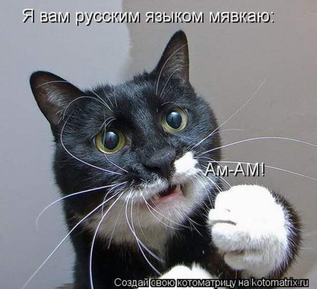 Мысли вслух Мысли вслух