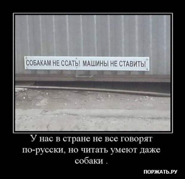 Демотиваторы с приколом, на все вкусы.