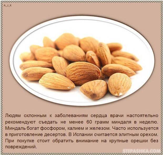 101540833335333nuts_05 (700x667, 114Kb)
