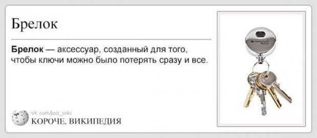 короче википедия (19)