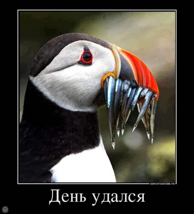 Будь реалистом! 1