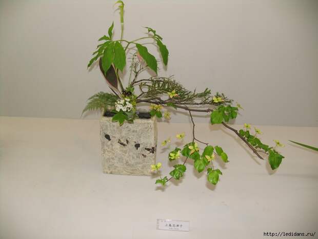 065 (700x525, 222Kb)