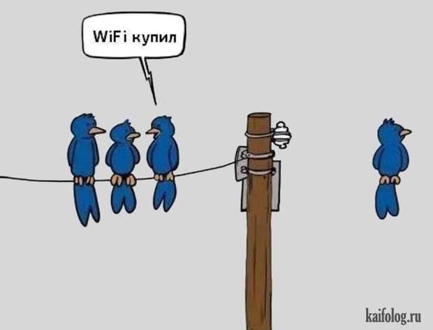 Приколы про Wi-Fi (50 фото)