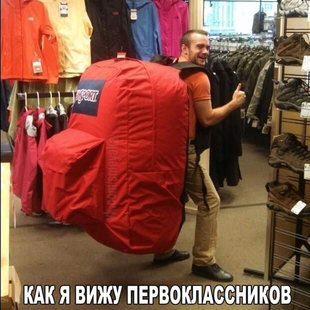 Смешные картинки с надписями прикол, юмор